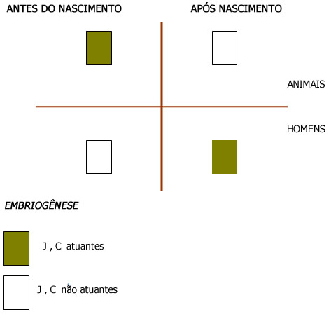 A arquitetura diferenciada - A diferença AH A arquitetura diferenciada - A diferença AH