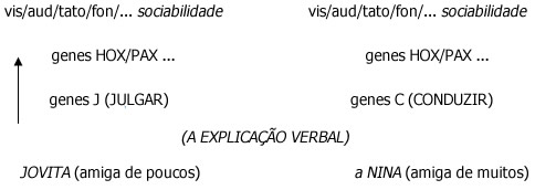 Jovita - Ampliação do Esquema Jovita - Ampliação do Esquema
