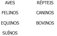 Parentesco - Ampliação do Esquema Parentesco - Ampliação do Esquema