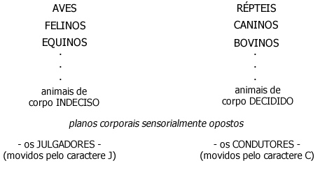 Arquétipos e Supergenes Arquétipos e Supergenes