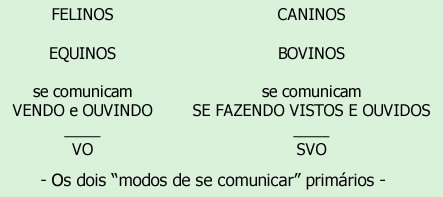 Genes Comunicacionas