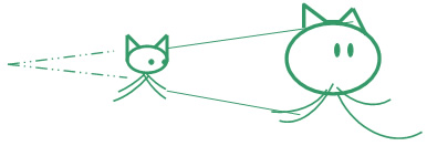 Genes Comunicacionais