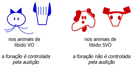 Genes Comunicacionais