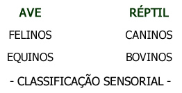 Genes Comunicacionais