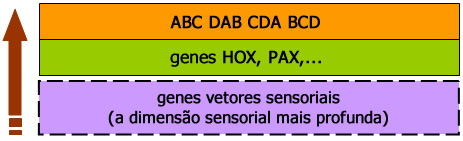 Genes Comunicacionais Genes Comunicacionais