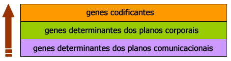 Genes Comunicacionais Genes Comunicacionais