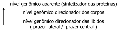 Genes Comunicacionais