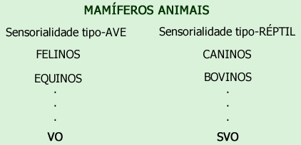 Genes Comunicacionais