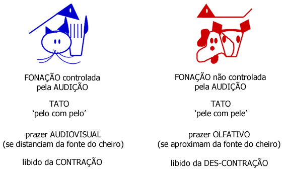 Resumo das Linguagens - Genes Comunicacionais