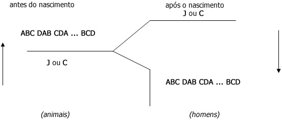 Outra questão relevante - Interpretação Outra questão relevante - Interpretação