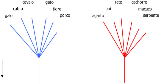 Reforçando - Interpretação Reforçando - Interpretação