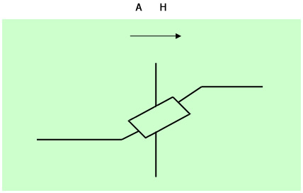 AH - Macacos AH - Macacos