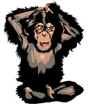 O braço engessado - Macacos