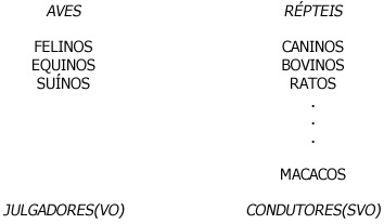 Classificação Sensorial - Macacos Classificação Sensorial - Macacos