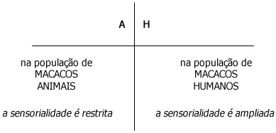 Conclusão - Macacos Conclusão - Macacos
