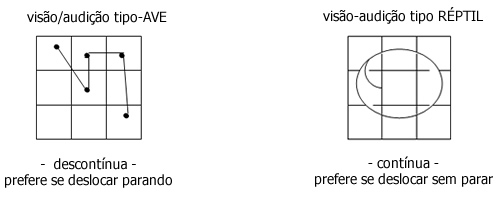 Modos Sensoriais 1 Modos Sensoriais 1