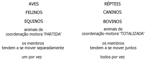Modos Sensoriais 3 Modos Sensoriais 3