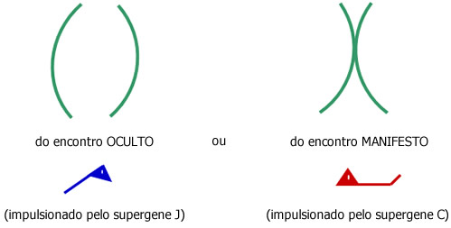 Qual dos ORGASMOS o corpo da sua esposa prefere? - A linguistica moderna Qual dos ORGASMOS o corpo da sua esposa prefere? - A linguistica moderna